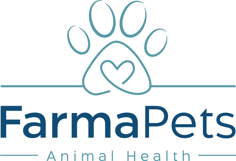 differenza tra miele cristallizzato e liquido Vomito nel gatto | Veterinaria main image 1